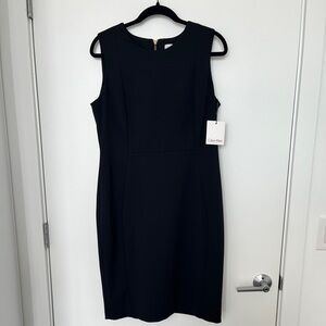 Calvin Klein Princess Panel Sheath Dress